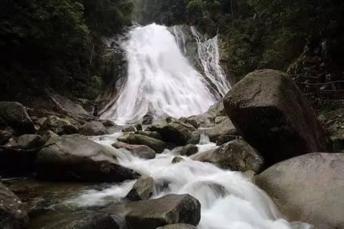 恐龙绝地逃生